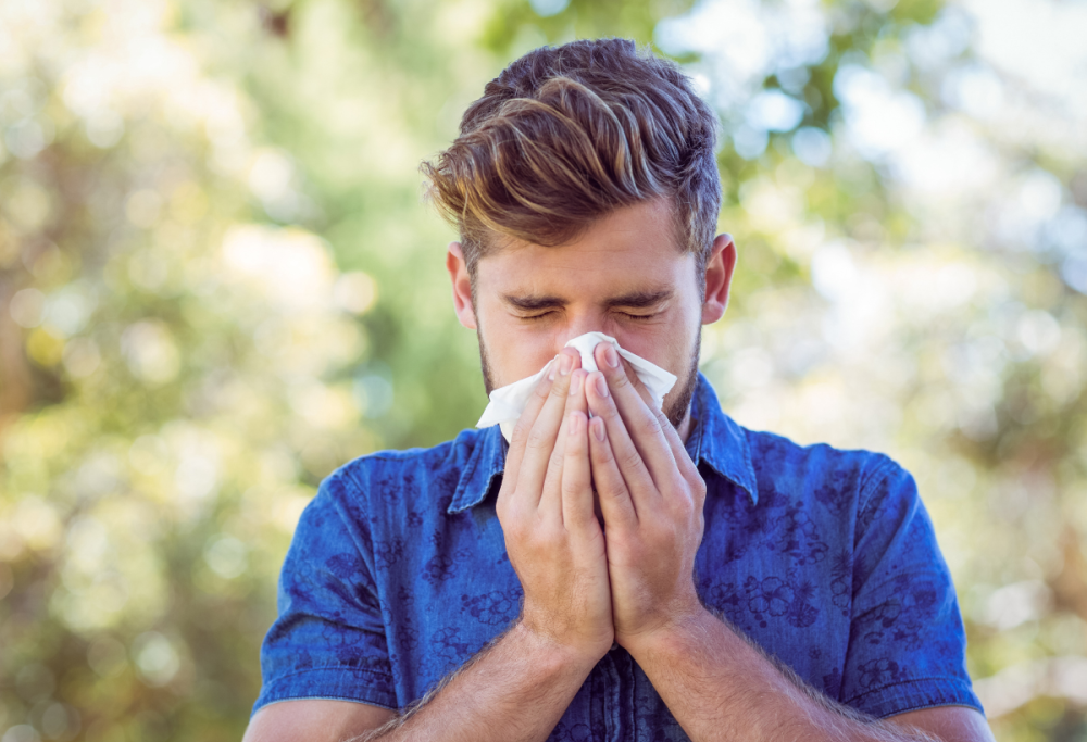Allergia da polline: alcuni consigli per tenerla sotto controllo
