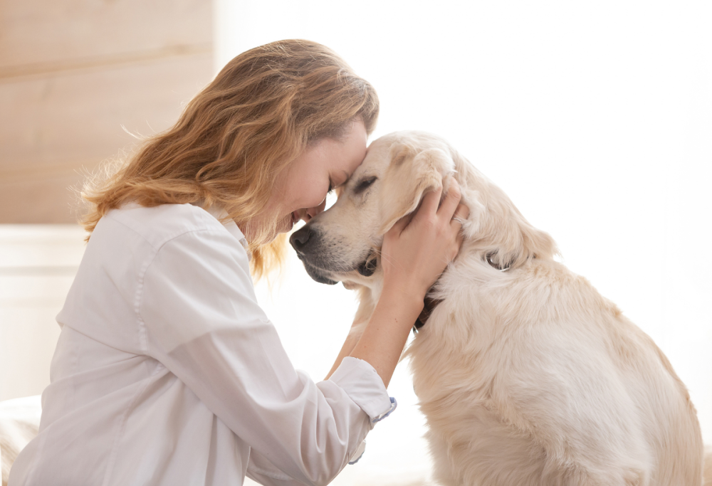 Perché il cane ci lecca? Non solo per amore: scopri i motivi