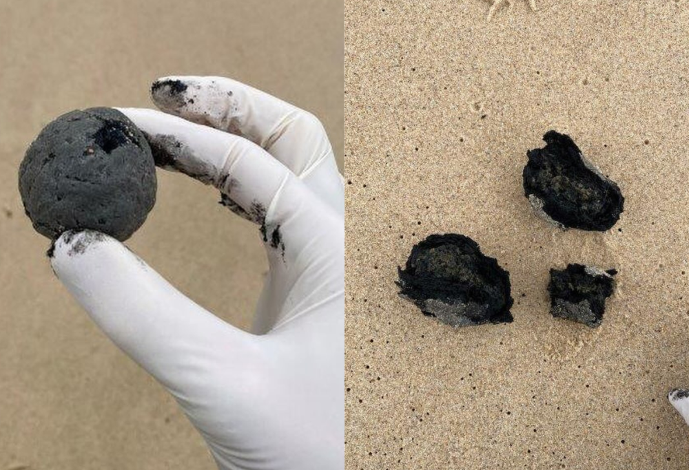 Sydney, migliaia di sfere nere sulle spiagge: “Non toccatele”