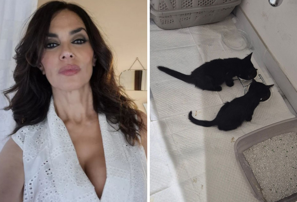 Maria Grazia Cucinotta salva 2 gatti abbandonati: le foto emozionano