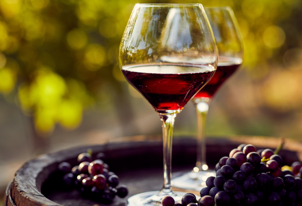 Hai bevuto il vino nel modo sbagliato? Scopri come farlo bene