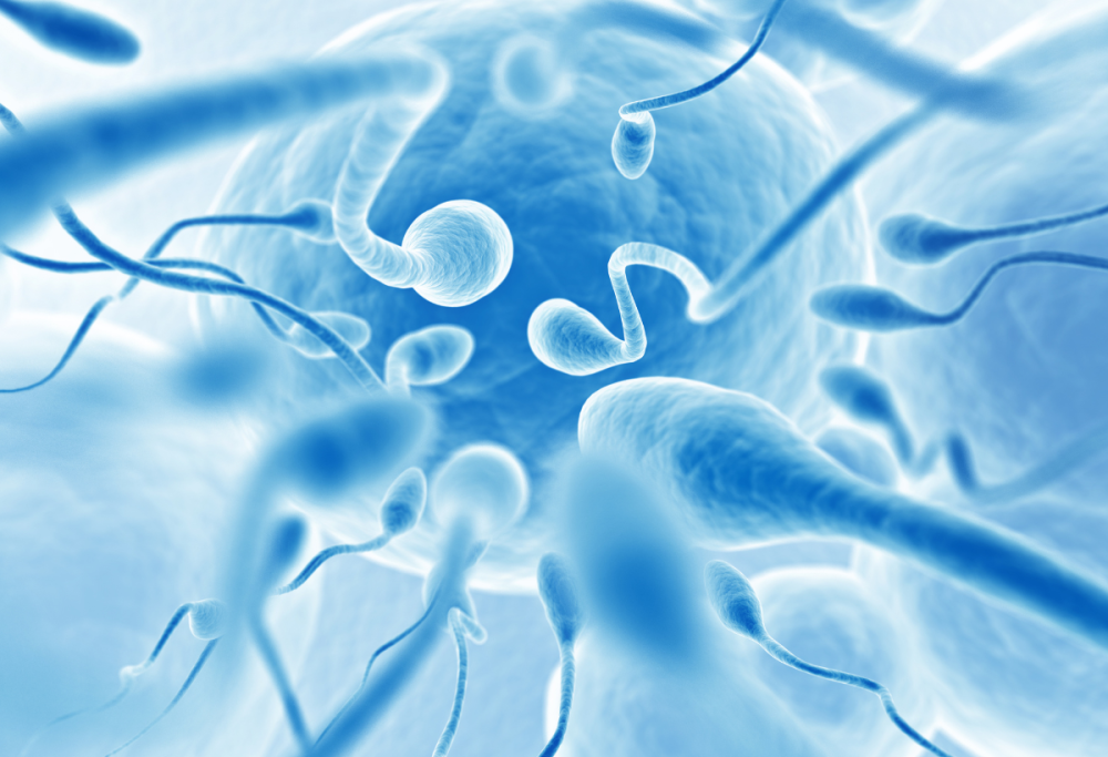 Sperm Racing: la prima gara di sperma organizzata da milionari