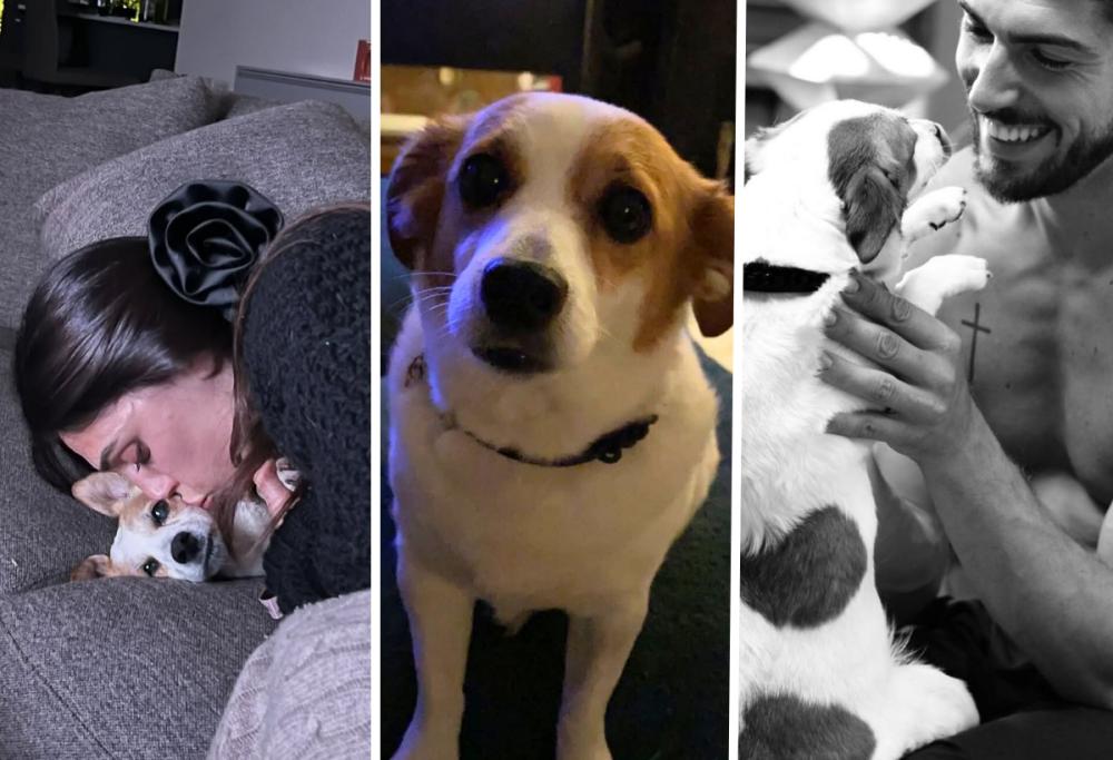 Cecilia Rodriguez e Ignazio Moser in lutto: è morto il cane Aspirina 
