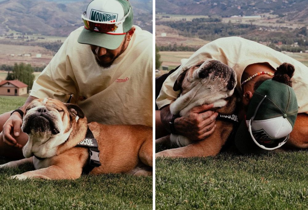 Lewis Hamilton e l’addio a Roscoe: non ce l’ha fatta il suo bulldog