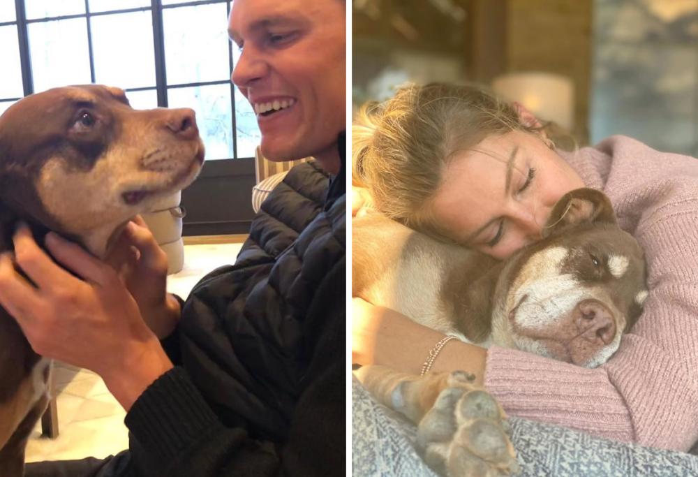 Tom Brady fa clonare il suo cane morto al costo di 44.000 euro