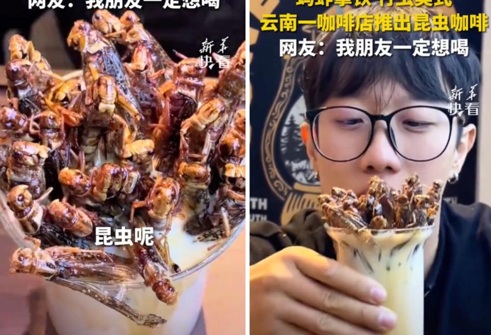 Tutti pazzi per il caffè con polvere di scarafaggio e vermi tostati