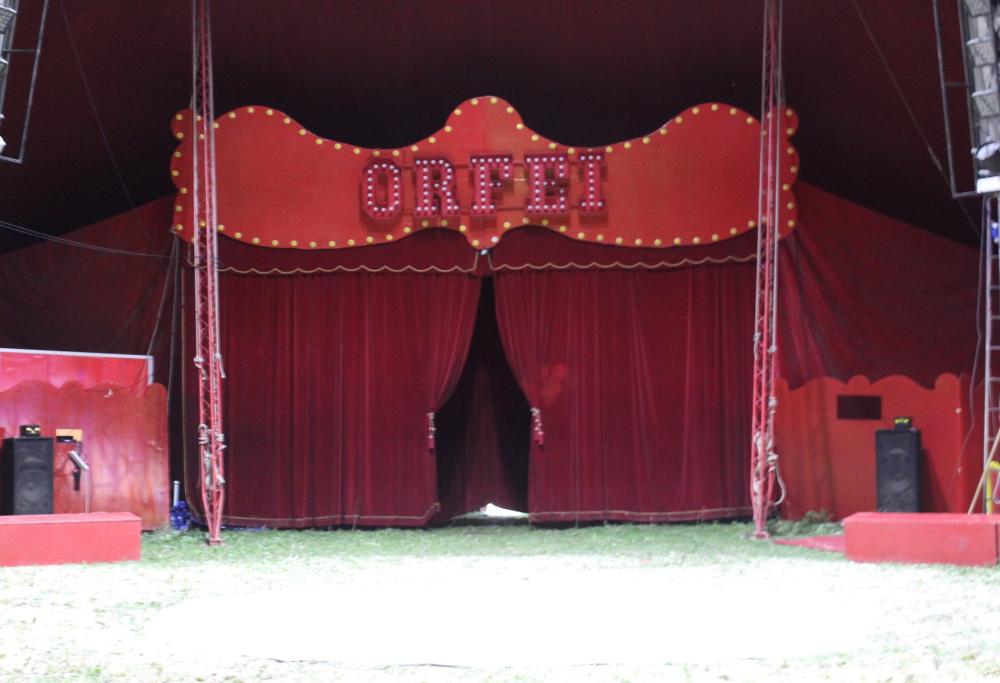 Circo fermo in Veneto, l’appello della famiglia Orfei: “Aiutateci, serve cibo per gli animali”