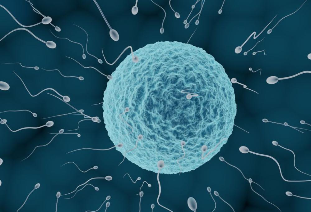 Tecnologia: ecco l’ultima frontiera della fecondazione