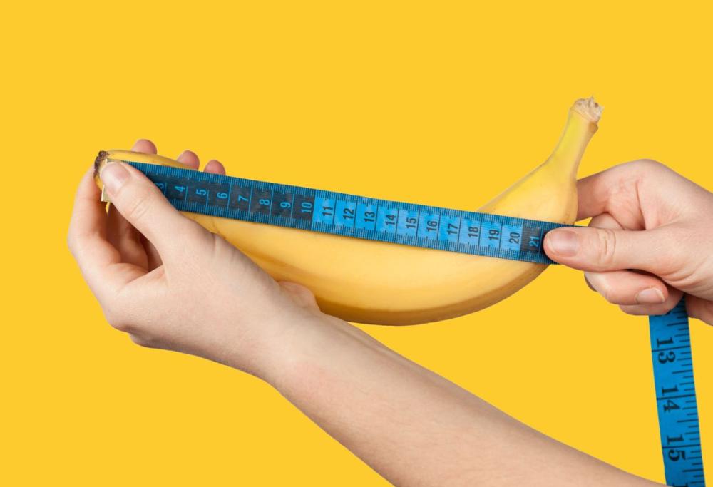 Lo studio che dimostra l’aumento della lunghezza del pene