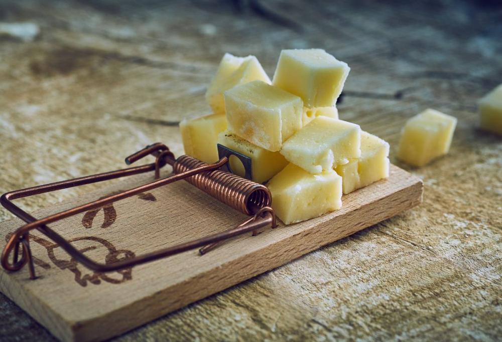 Dal formaggio per topi al rosso dei tori: una lista dei falsi miti