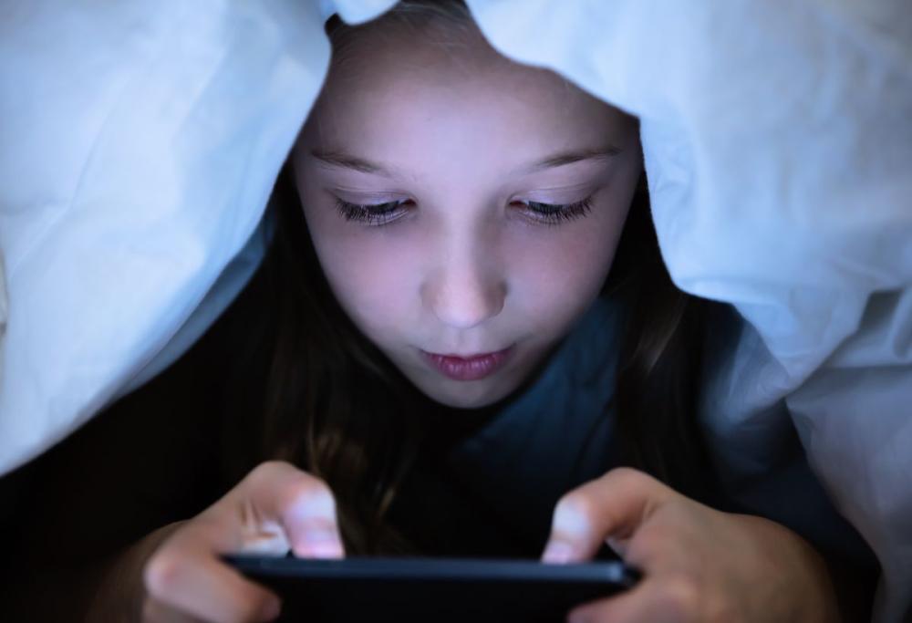 13enne spende quasi 60mila € di risparmi della famiglia in videogiochi