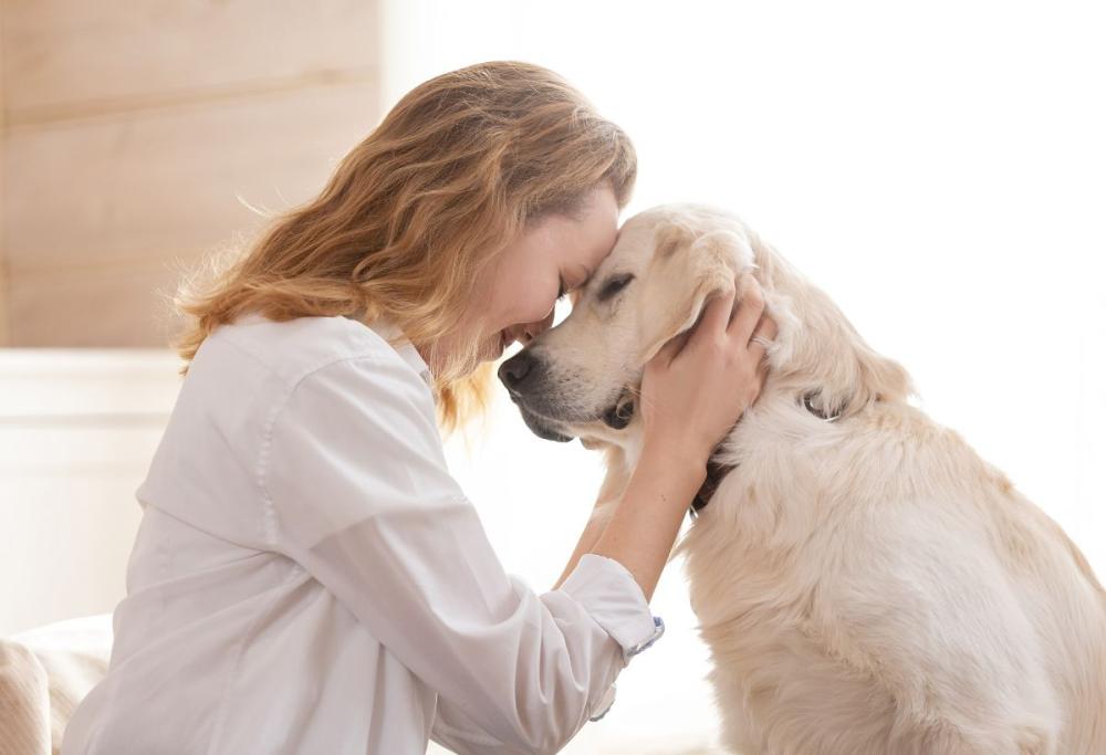 I rischi dei baci agli animali domestici: ecco cosa devi sapere