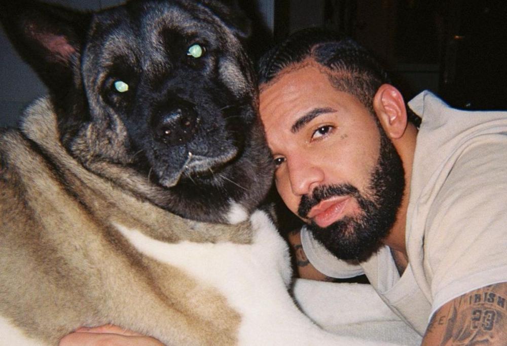 Drake annuncia l’arrivo di un album e di un libro con un Easter egg
