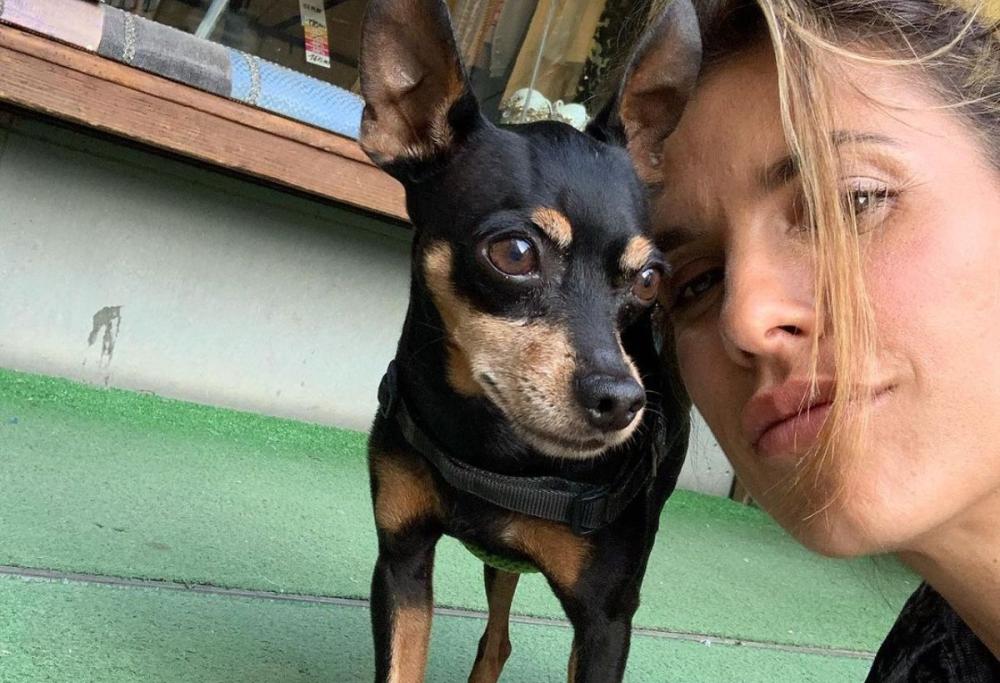Elisabetta Canalis in lutto, addio alla cagnolina Mia dopo 16 anni