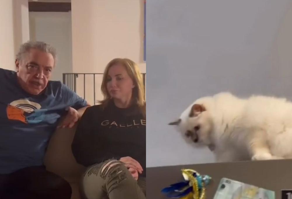 Nino Frassica, il gatto ancora non si trova: “Bonificato il paese”