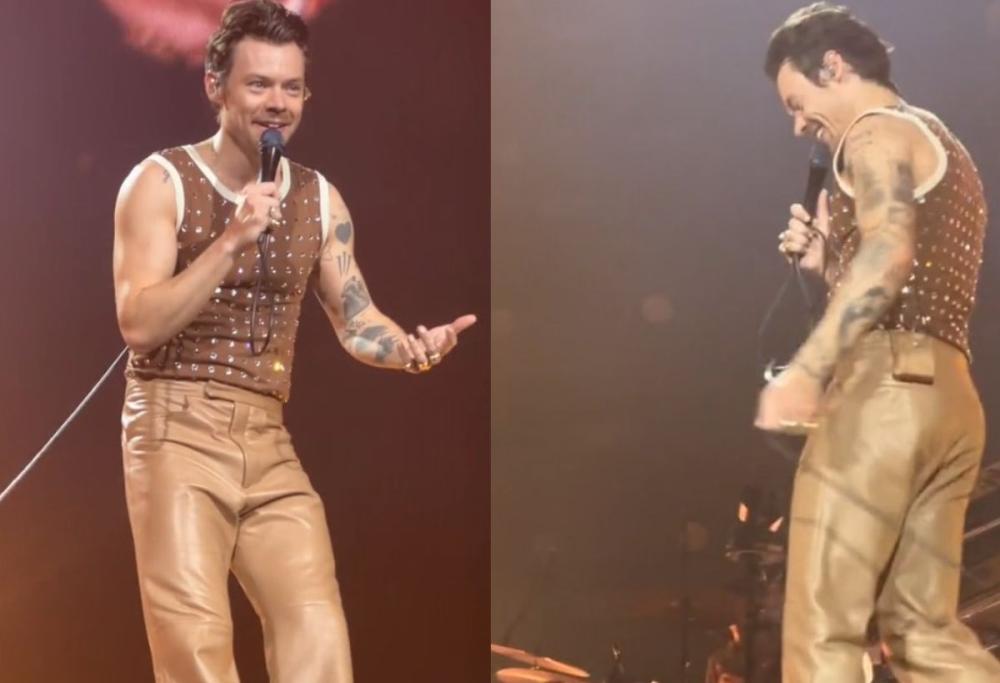 Harry Styles ferma il concerto: donna incinta deve andare in bagno