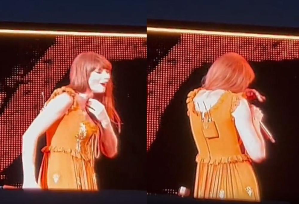Taylor Swift ingoia un insetto durante un live: “Era delizioso”