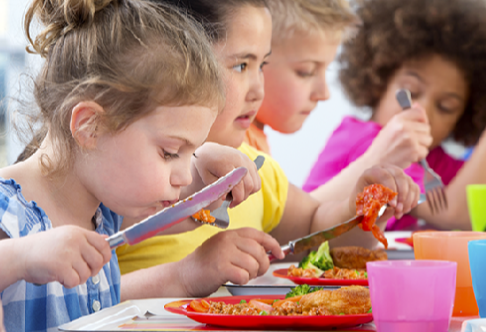 "No" al panino da casa nella mensa scolastica: lo stabilisce la Cassazione