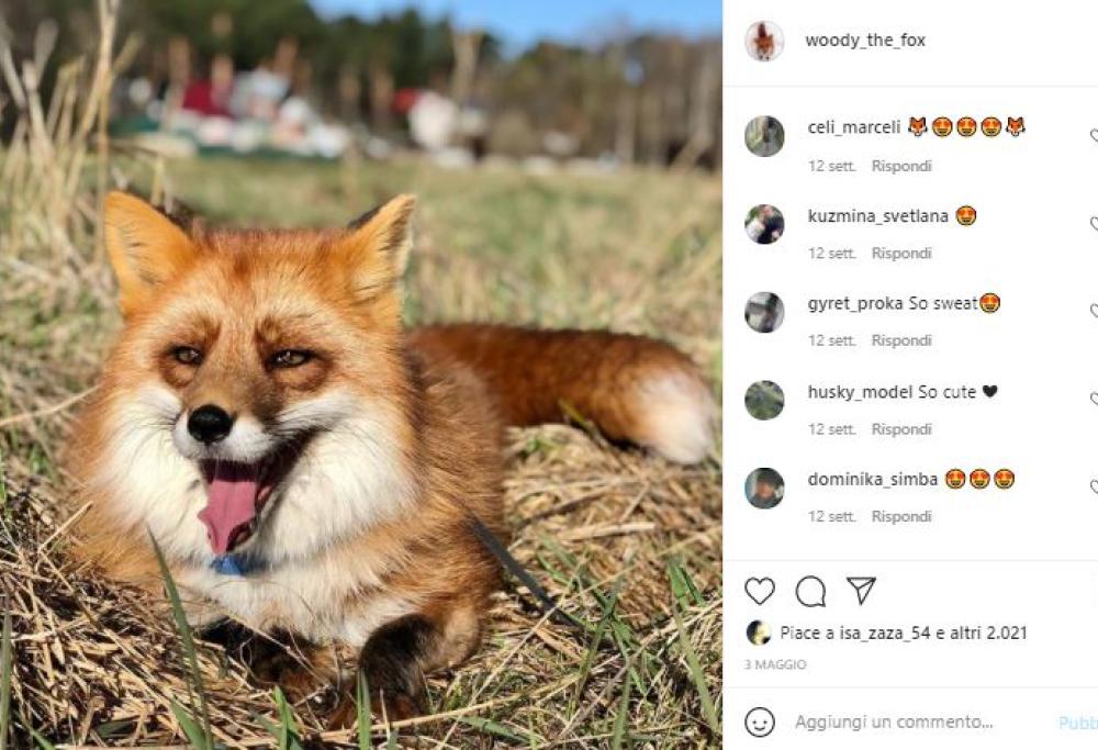 Lui la salva da un allevamento di animali da pelliccia: ora sono amici 