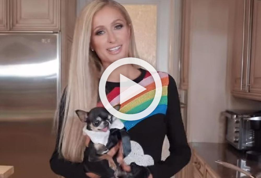 Paris Hilton cucina una lasagna (col cane in braccio): il web si scatena