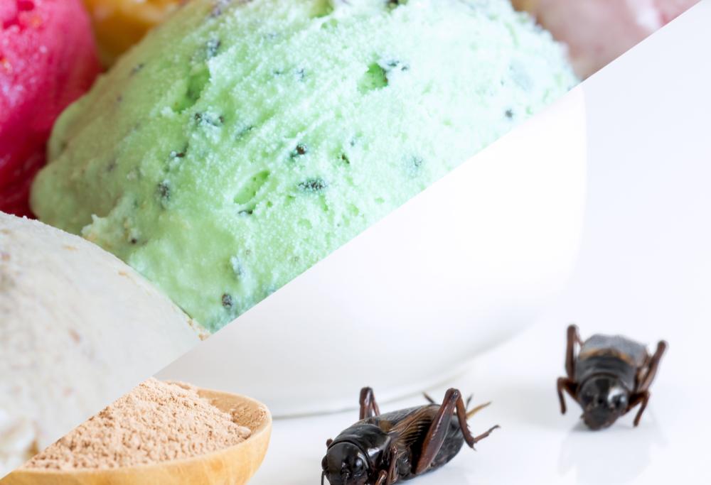 Gelato con grilli, un nuovo passo verso il futuro