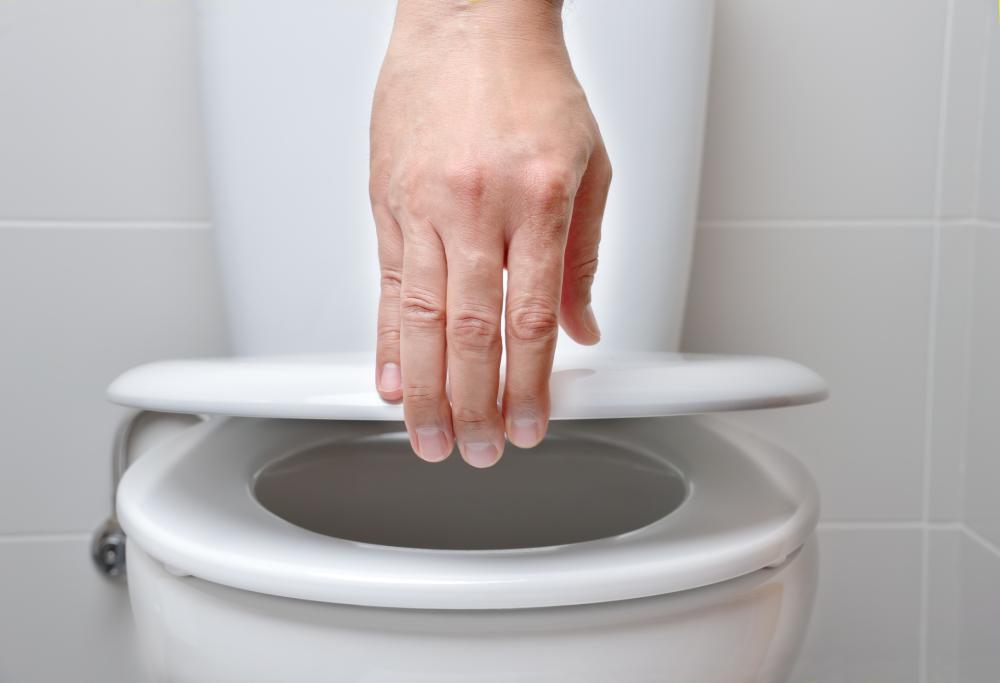 I bagni pubblici sono davvero pieni di batteri? sì, ma anche il vostro smartphone lo è