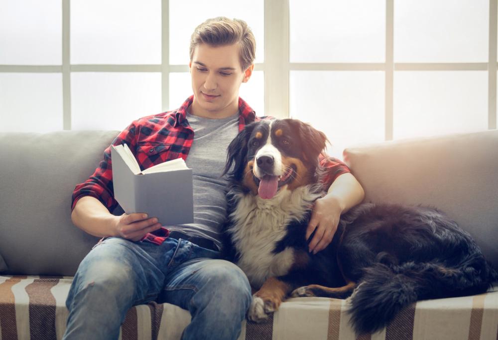 Coronavirus, chi ha un cane potrebbe correre meno rischi: lo rivela uno studio italiano