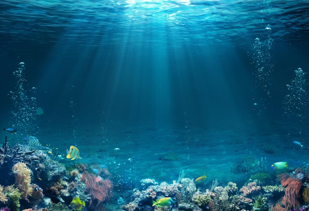 Nell'oceano ci sono creature mai viste prima