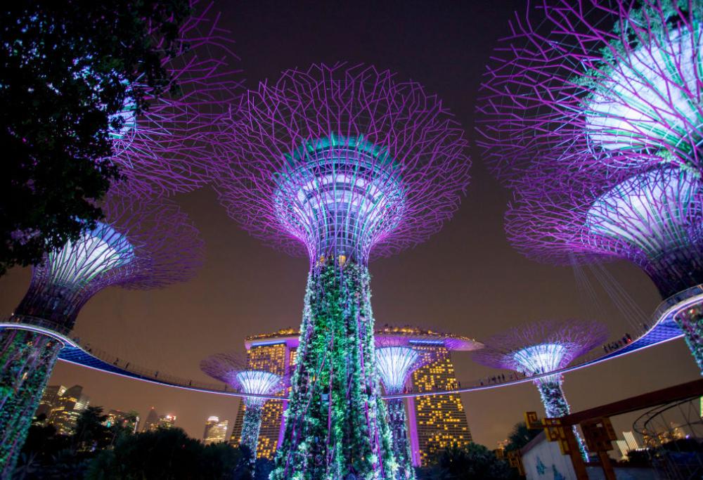 I solar trees: la scelta più bella ed efficace tra i pannelli solari 