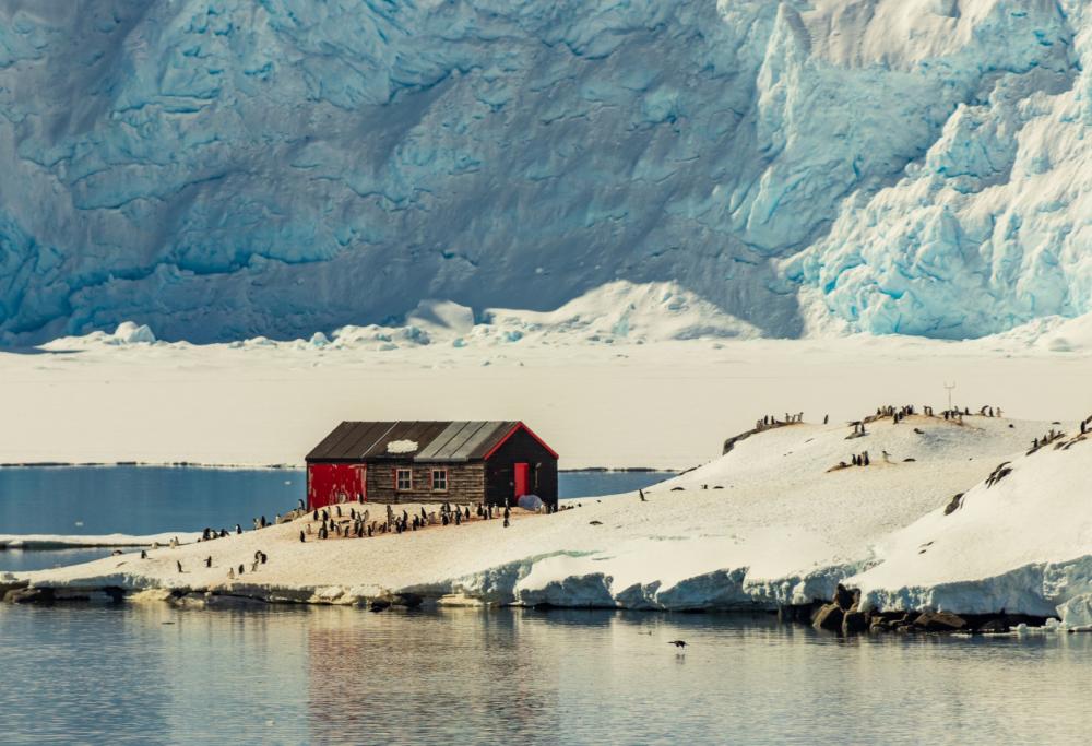 4 donne assunte per contare i pinguini per 5 mesi in Antartide