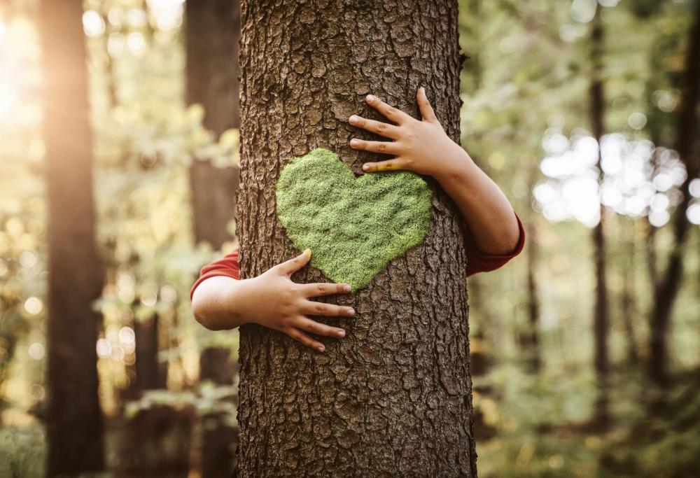 Stare nella natura fa bene al cervello e al corpo