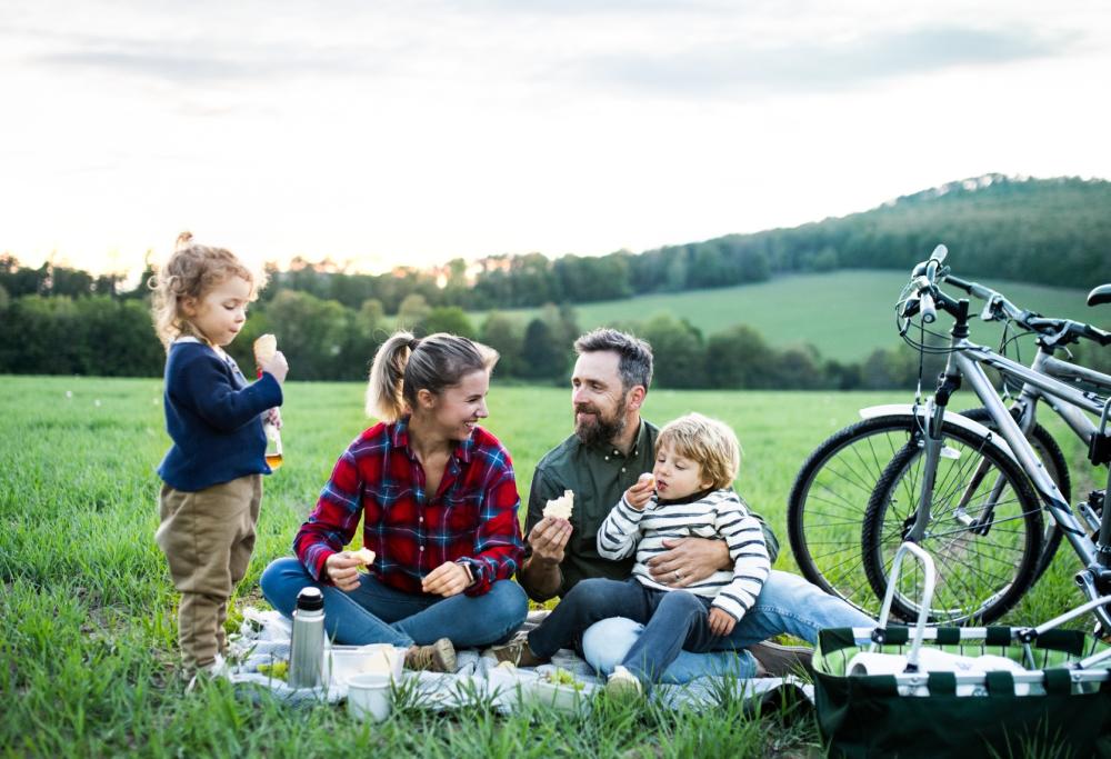Che cosa vi serve per il pic nic perfetto? 