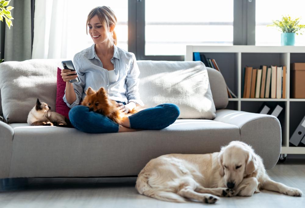 Avere animali in casa ci dona più autostima, empatia e felicità