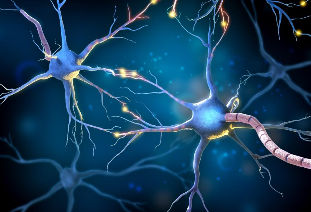 La mente umana può cambiare la realtà?