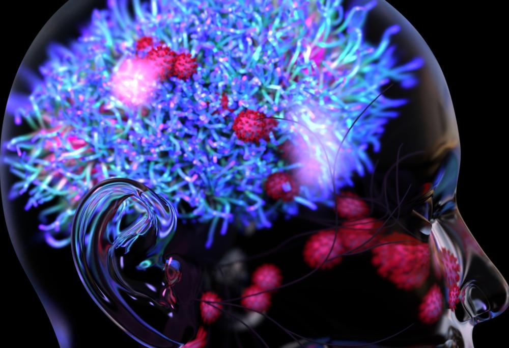 Uno studio ha individuato in che modo il nostro cervello archivia i ricordi 