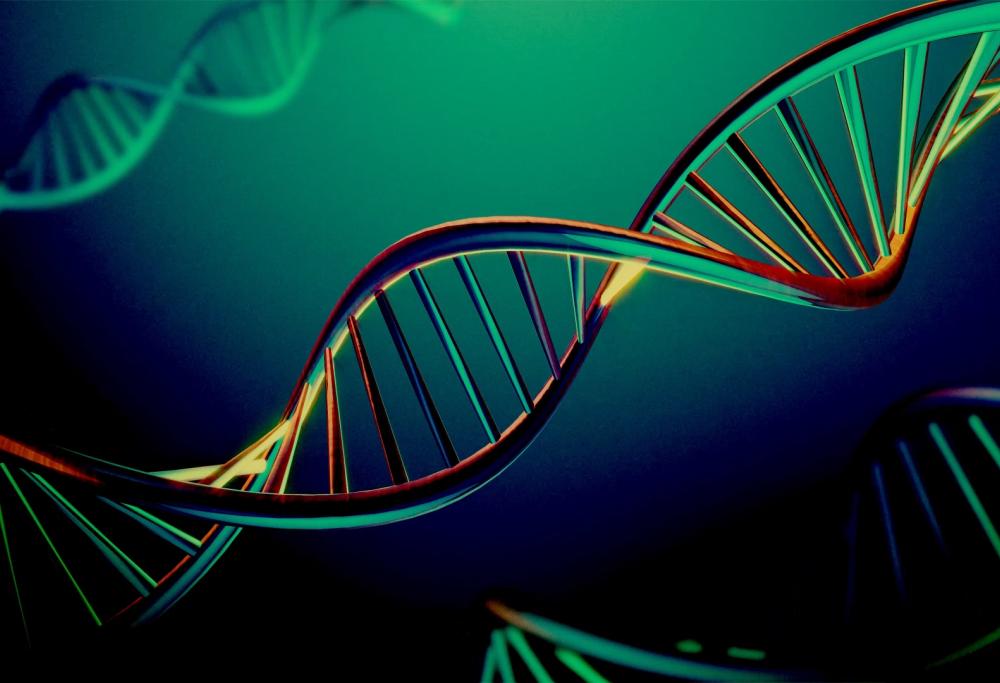 L’uomo continua ad evolversi: scoperti 155 nuovi geni 