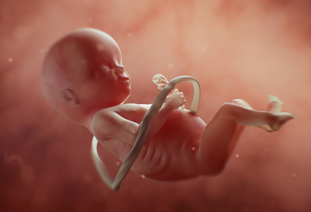 Il primo utero artificiale al mondo permette anche di scegliere le caratteristiche del figlio 