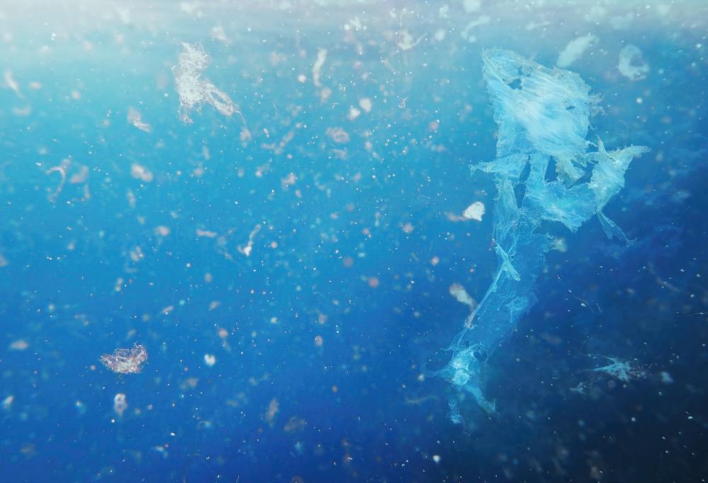In Cina inventano i pesci robot che ripuliscono il mare