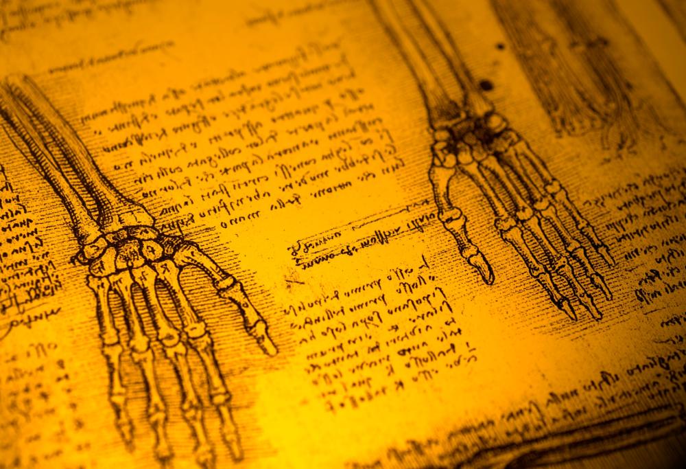 Leonardo da Vinci e la sua passione smisurata per il corpo umano