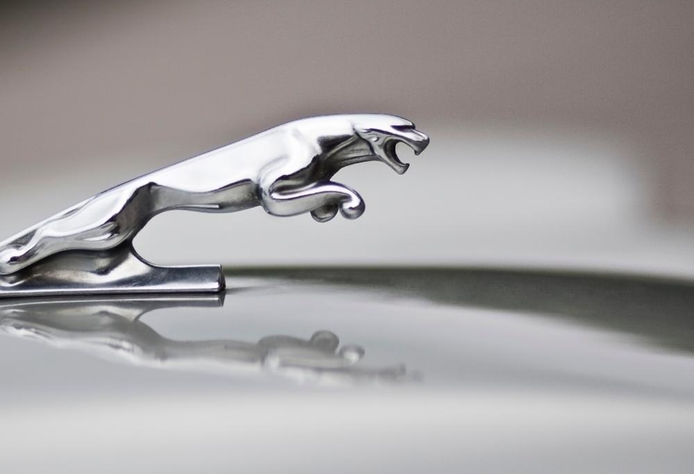 Jaguar Land Rover: quando il lusso si fa green