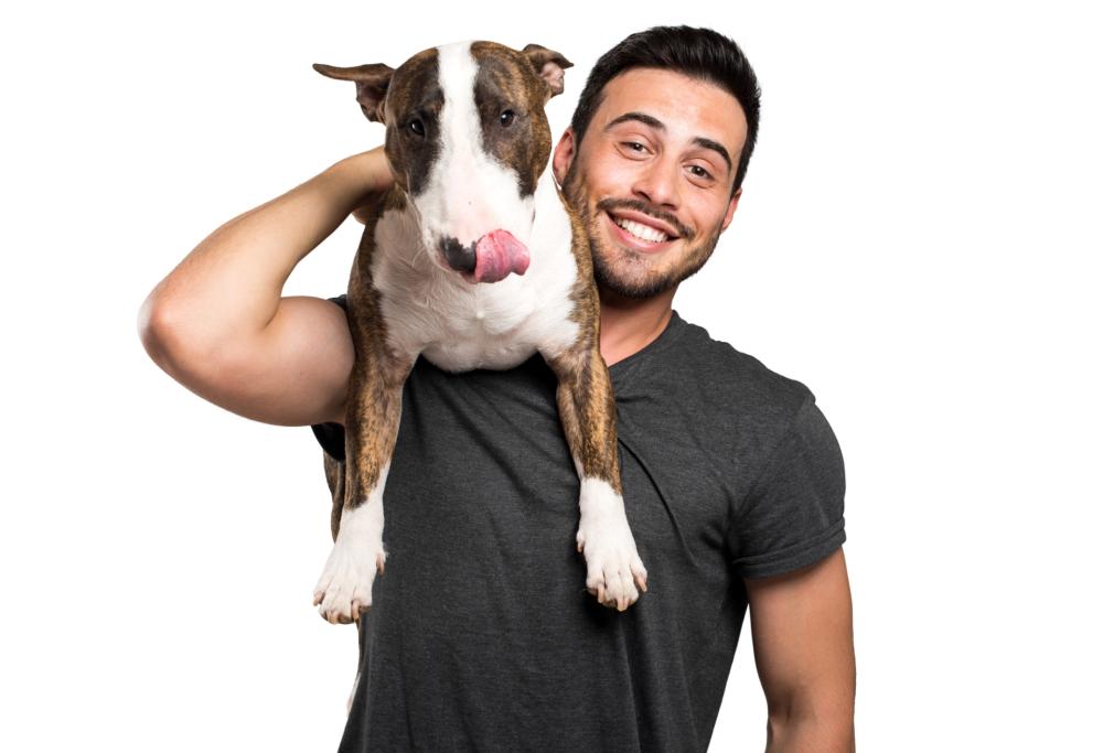 La razza del cane dice molto del padrone: occhio a chi ha un Husky 