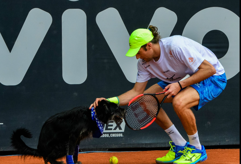 Gli atp di Rio Open 2017