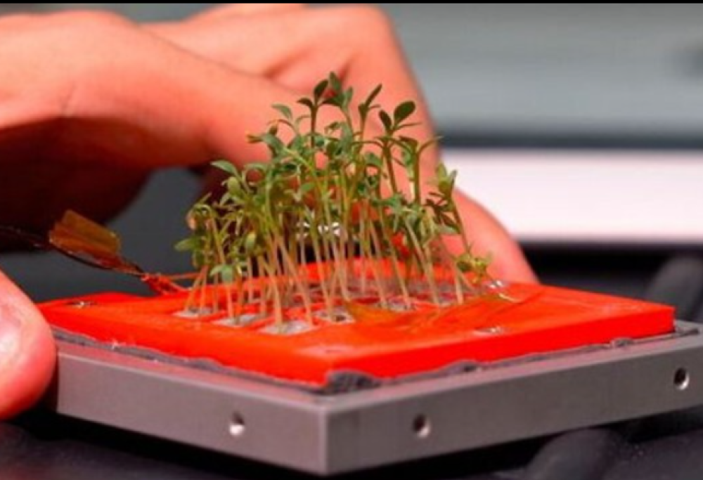 Il primo micro orto spaziale italiano è stato lanciato in orbita