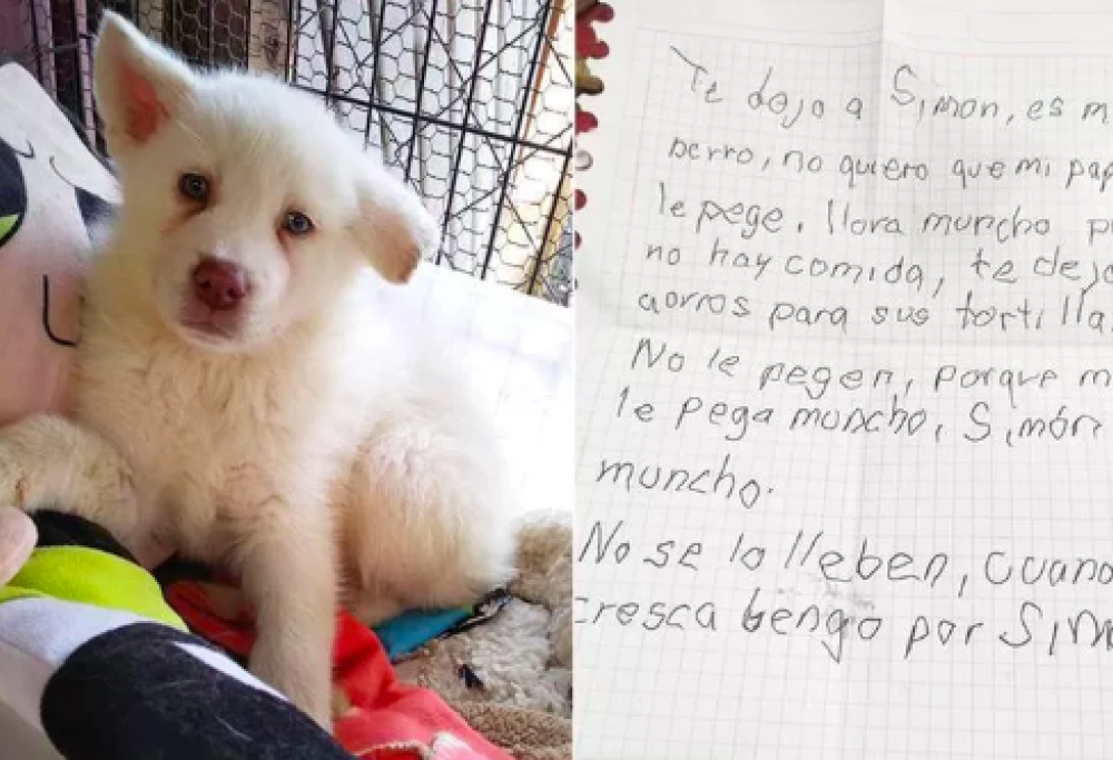 Bimbo abbandona il cane con un messaggio dolcissimo: "Non posso nutrirlo, ma tornerò"