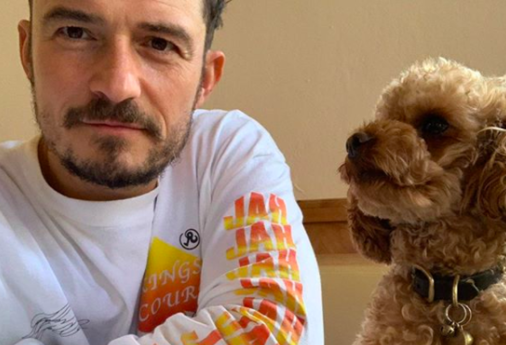 Orlando Bloom piange la morte del cane: ritrovato solo il collare
