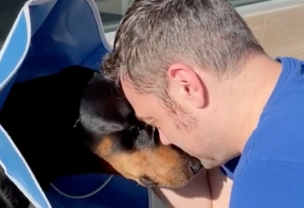 Tiziano Ferro piange la morte del suo cane: "Gli unici 4 mesi fuori dal canile e gli ultimi della sua vita, ma quanto amore"