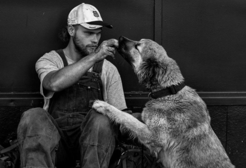 A Lione un gruppo di veterinari cura gratis i cani dei senzatetto