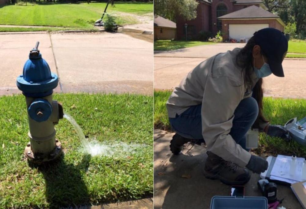 Allarme in Texas: trovato un parassita mangia-cervello nella rete idrica