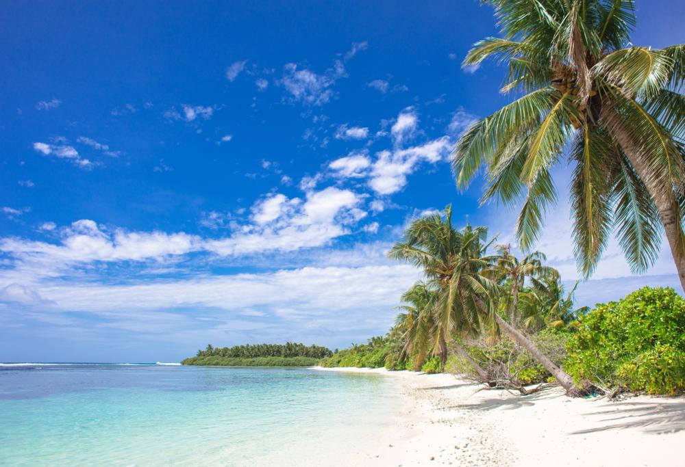 Le Seychelles riaprono ai turisti che si sono vaccinati contro il Covid