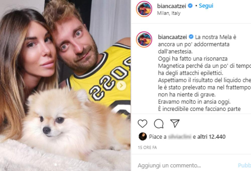 Bianca Atzei preoccupatissima per la sua cagnolina Mela